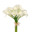 Calla Lily Bundle
