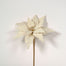 24" Polyester Poinsettia - Cream/Pearl