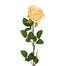 37 in Polyester Large Rose