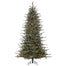 Brighton Spruce