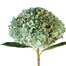 Round Hydrangea