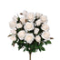 Grandiflora Rose Bush