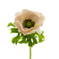 22 in Poppy Anemone Stem