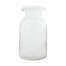 Stevie Vase