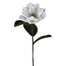 24 in Magnolia Stem - White