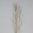 Bamboo Branch W/Snow
