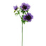 22 in Anemone Spray