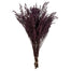 Stoebe - Violet (5-6 oz)