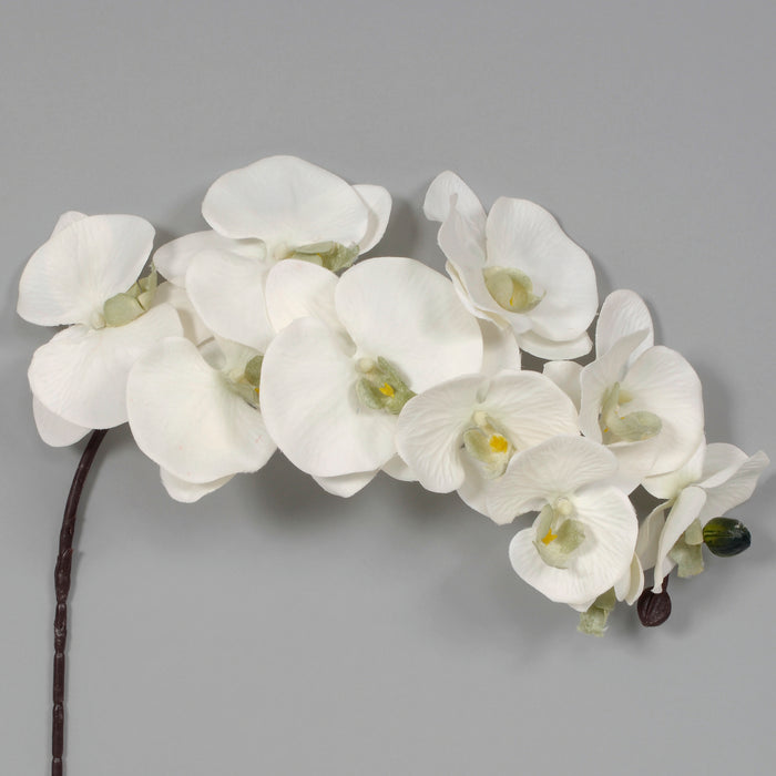 38" Polyester Phaleanopsis X 10 - Cream/Green