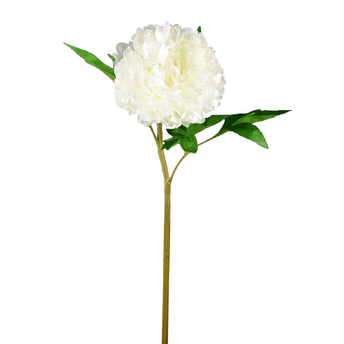 27" Natural Peony Stem - White