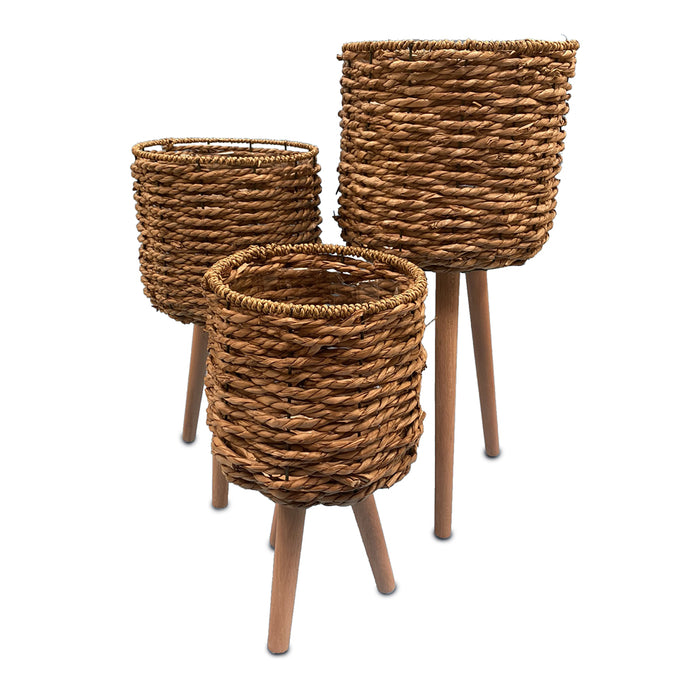 Seagrass Plant Stand Medium