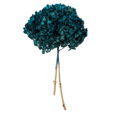 15 in Blue Hydrangea Stem