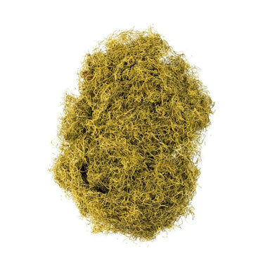 Spanish Moss - Chartreuse