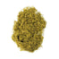 Spanish Moss - Chartreuse