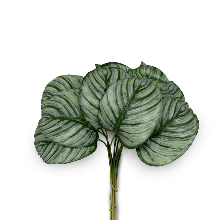 Calathea Leaf, Bundle - Green/White