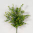 20" New Boxwood Bush - Green/Light Green