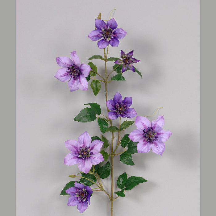 38 in Clematis Spray