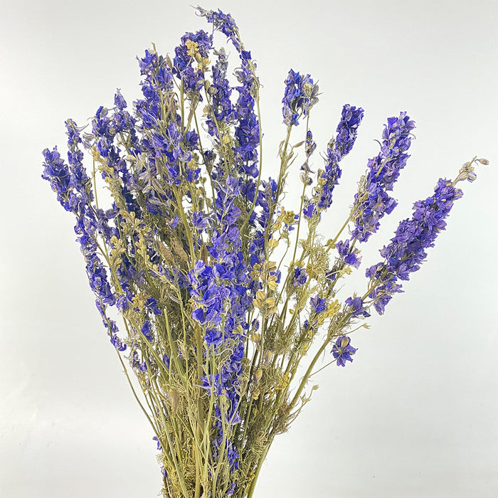 Dhelphinium blue