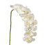45" Polyester Coated Phalaenopsis with 15 Flowers - White