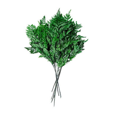 Leatherleaf - Green