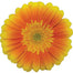 Gerbera Orange Souvenir