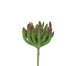 4 in Succulent Pick - Green