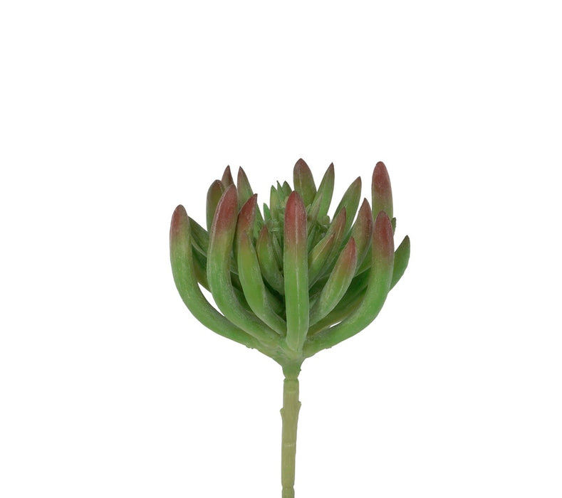 4 in Succulent Pick - Green