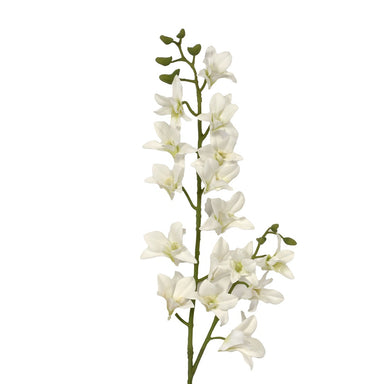 34 in Dendrobium Spray