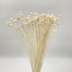 Floral Buttons - Bleached