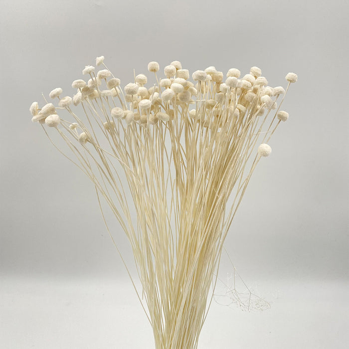 Floral Buttons - Bleached