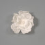 Eva Hanging Poppy Head White 14"x1"x2" in