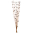 36-40 in Brown Star Bamboo Reed (7 Stem Bunch)