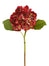 8.5" Dried Holland Hydrangea - Red/Green