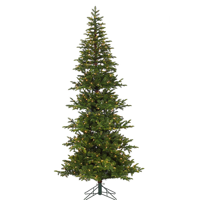 Hillsdale Noble Tree