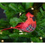 Cardinal Ornament w/Clip - Red