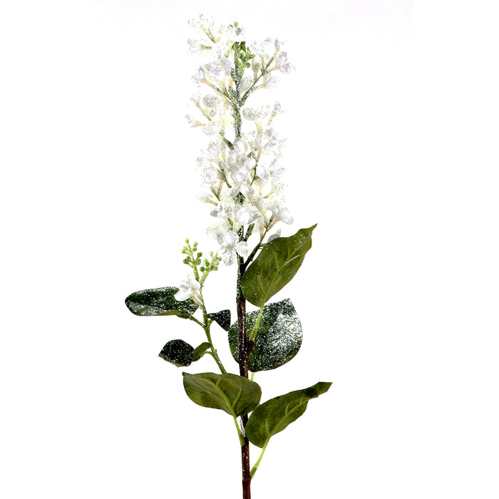 Hydrangea Cone