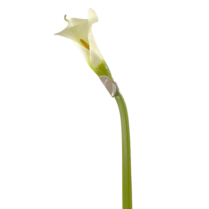 30" Calla Lily - White