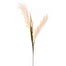 30" Sorghum Spray - Cream