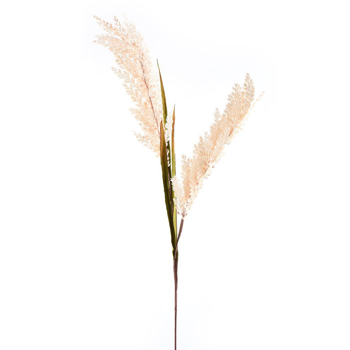 30" Sorghum Spray - Cream