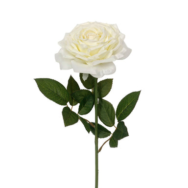 25 in Polyester Rose - Cream