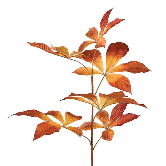Juglan Leaf Spray