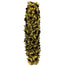 26-28" Basil Giant Seed Pod Half