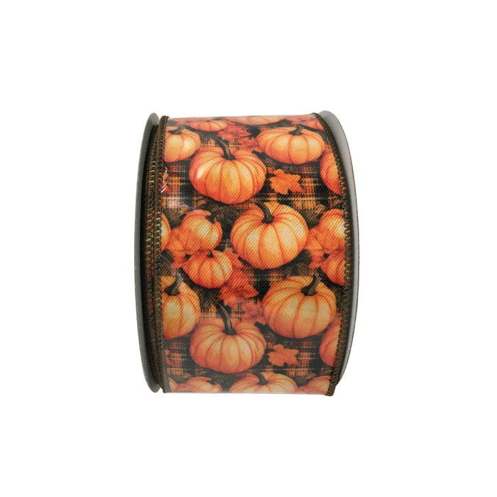 2.5 in Pumpkin Ribbon - Fall Mix