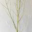 Bamboo Sprays