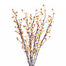 Bittersweet Branch