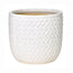 10.5" Ceramic Planter - White