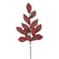 29 in Plaid Leaf Stem - Red/Multicolor
