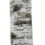 2.5 in Bark Ribbon - Natural