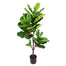 56" Fiddle Leaf Plant Tree - Green
