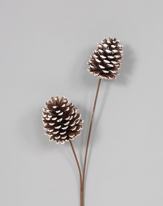 Lacquered Pine Cone Spray - White Tip